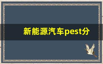 新能源汽车pest分析图,大众汽车pest分析