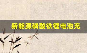 新能源磷酸铁锂电池充电正确方法