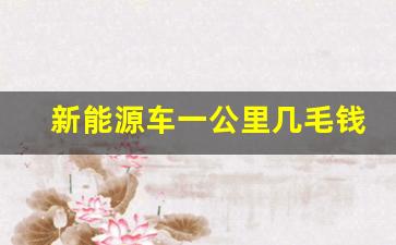 新能源车一公里几毛钱,2023建议买的纯电车