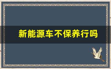 新能源车不保养行吗