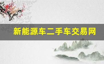 新能源车二手车交易网,新能源二手车3万以内