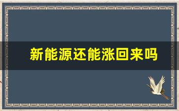 新能源还能涨回来吗