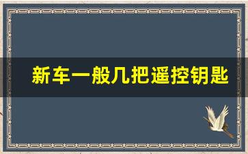 新车一般几把遥控钥匙,新车几把钥匙