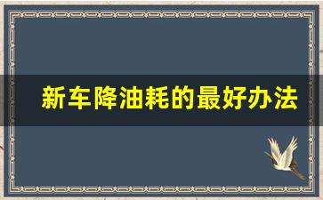 新车降油耗的最好办法,新车油耗10个正常吗