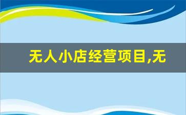 无人小店经营项目,无人项目加盟店排行榜