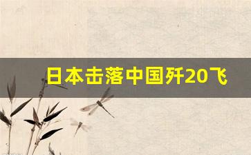 日本击落中国歼20飞机视频大全,中国飞机轰炸缅北