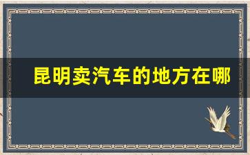 昆明卖汽车的地方在哪里