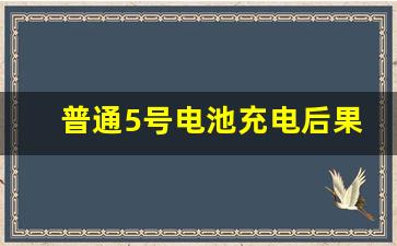 普通5号电池充电后果,5号电池可充电的标志