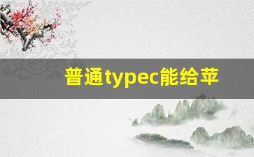 普通typec能给苹果15充电吗