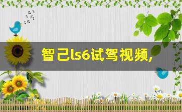 智己ls6试驾视频,智己ls6汽车参数