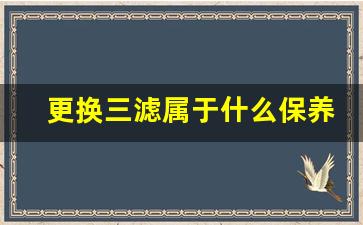 更换三滤属于什么保养