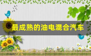 最成熟的油电混合汽车,建议别买油电混合动力车