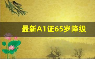 最新A1证65岁降级,A1驾照是不是推迟降级有新规