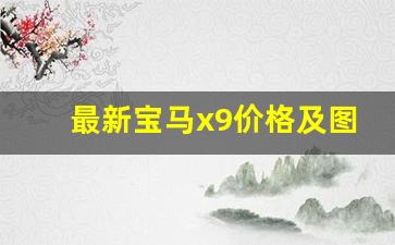 最新宝马x9价格及图片,新宝马x9售价多少万