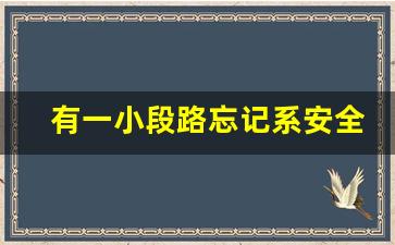 有一小段路忘记系安全带了,一般红绿灯拍安全带吗