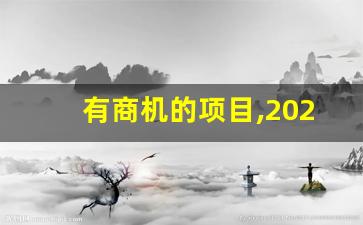 有商机的项目,2023创业新项目新商机