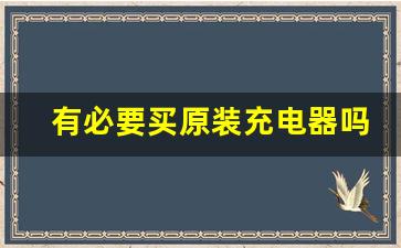 有必要买原装充电器吗,不是原装充电器会损伤电池吗