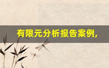 有限元分析报告案例,有限元分析论文怎么写