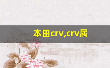 本田crv,crv属于什么档次