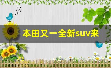 本田又一全新suv来了,本田2024年上市新车