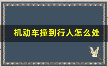 机动车撞到行人怎么处理,开车路上撞倒行人会怎么样