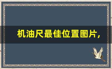 机油尺最佳位置图片,机油尺上限好还是中间好