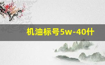 机油标号5w-40什么意思