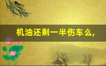 机油还剩一半伤车么,摩托车机油少了一点要紧吗