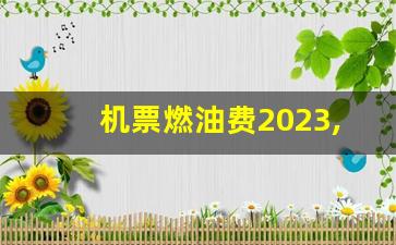 机票燃油费2023,现在机票还有燃油费和机场建设费吗