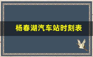 杨春湖汽车站时刻表