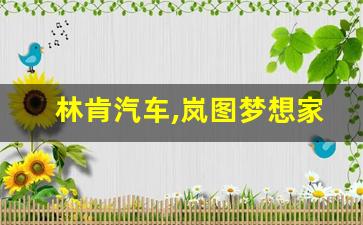 林肯汽车,岚图梦想家汽车2023款最新款价格