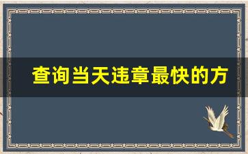 查询当天违章最快的方法