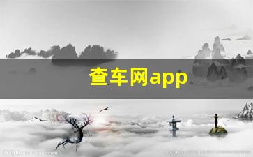 查车网app