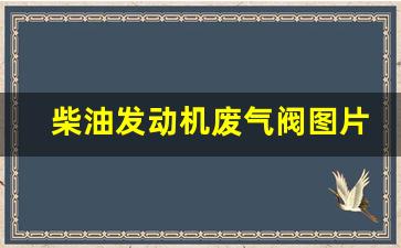 柴油发动机废气阀图片,废气阀门总成图片