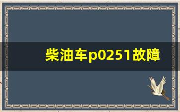 柴油车p0251故障码解决方法,博世柴油p0088故障码