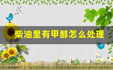 柴油里有甲醇怎么处理,人工合成柴油配方原料