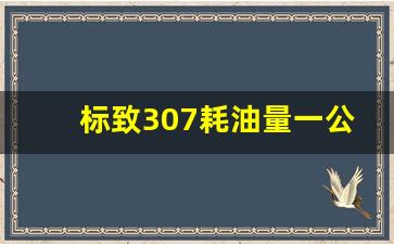 标致307耗油量一公里几毛,标致307耗油量多少