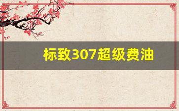 标致307超级费油