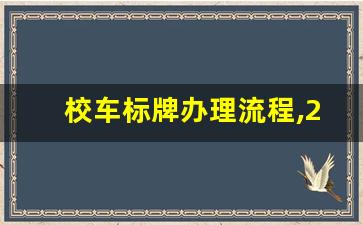 校车标牌办理流程,2023校车新规