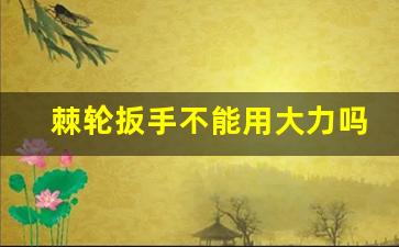 棘轮扳手不能用大力吗,棘轮扳手大飞中飞小飞哪个最常用