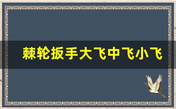 棘轮扳手大飞中飞小飞哪个最常用,国产棘轮扳手十大名牌