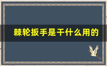 棘轮扳手是干什么用的,棘轮扳手24齿和72齿哪个耐用