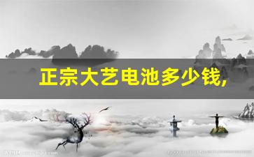 正宗大艺电池多少钱,售后电池与新电池区别