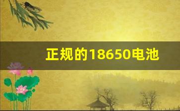 正规的18650电池多少钱,18650电池型号容量对照表