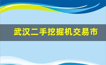 武汉二手挖掘机交易市场在哪里,广东挖掘机二手市场地址