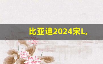 比亚迪2024宋L,比亚迪海豹dmi官方图片