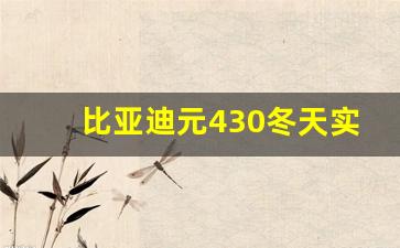 比亚迪元430冬天实际续航,510续航冬天能少一半嘛