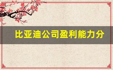 比亚迪公司盈利能力分析论文,比亚迪现金流量表分析