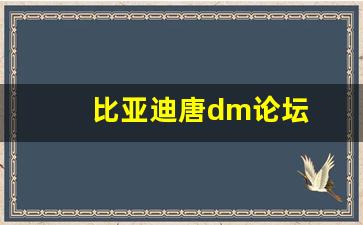 比亚迪唐dm论坛