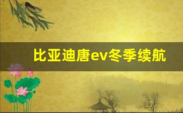 比亚迪唐ev冬季续航